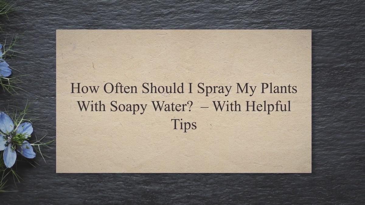 'Video thumbnail for How Often Should I Spray My Plants With Soapy Water? – With Helpful Tips'