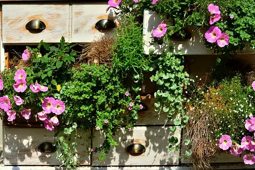 How to keep balcony garden clean