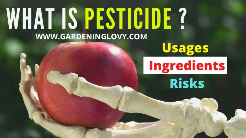 What Is Pesticide