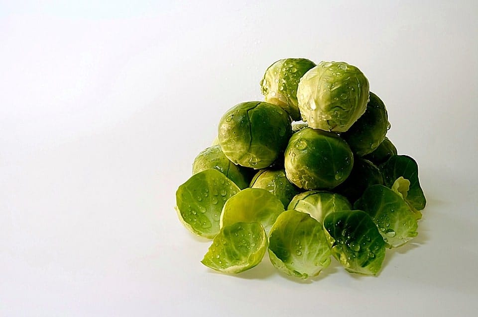 How To Grow Brussels Sprouts