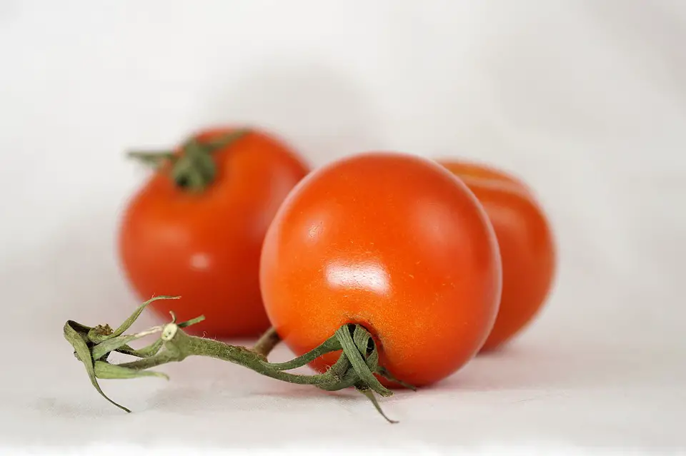 How To Plant Tomatoes