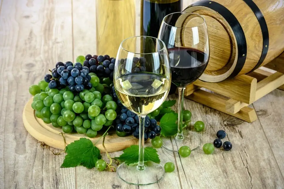How To Prune Grape Vines