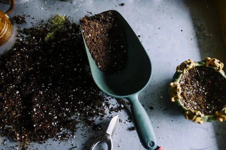 How To Sterilize Soil How To Sterilize Soil