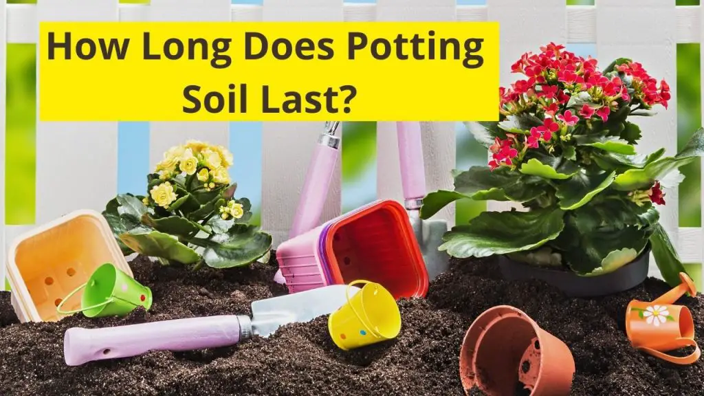 How Long Does Garden Soil Last