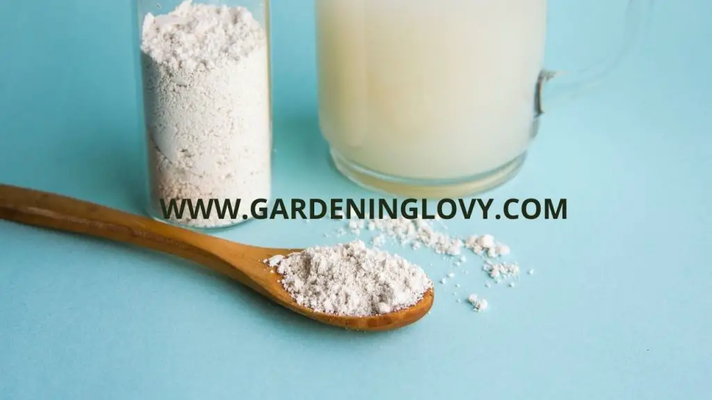 How To Use Diatomaceous Earth