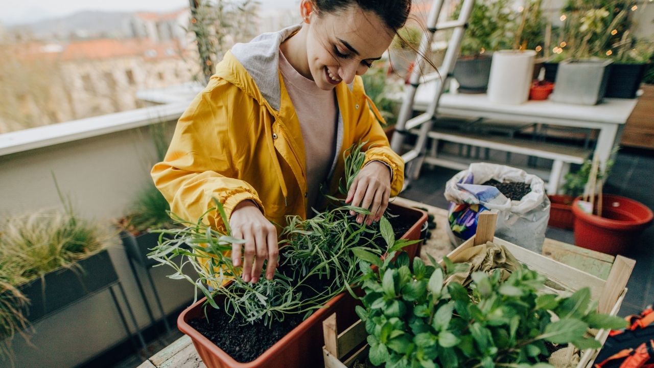 What is a balcony garden ?