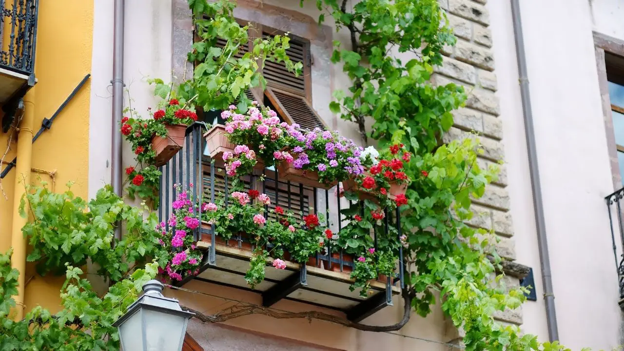 How To Set Up Garden In Apartment Balcony