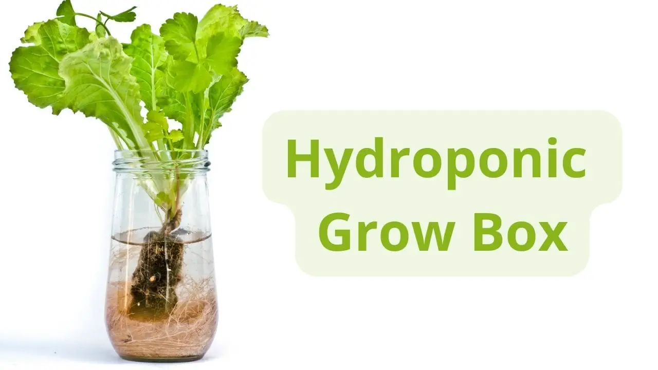 How To Make A Hydroponic Grow Box