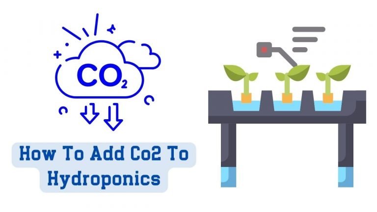 how to add co2 to hydroponics