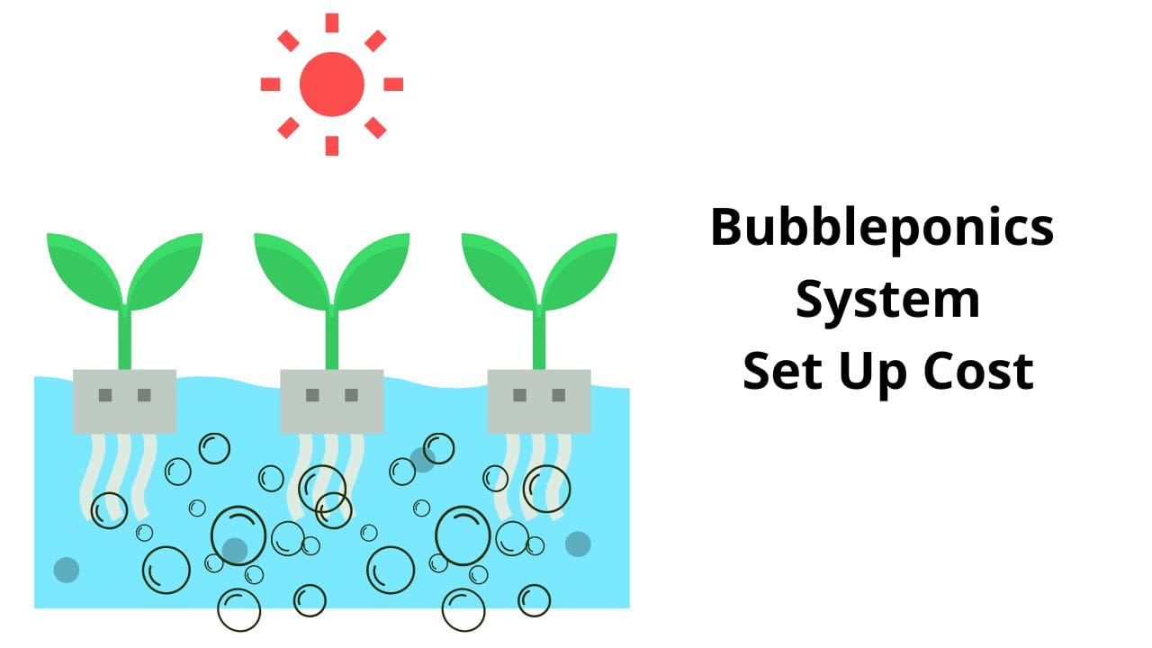 How To Build a Bubbleponics System