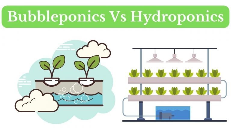 Bubbleponics Vs Hydroponics