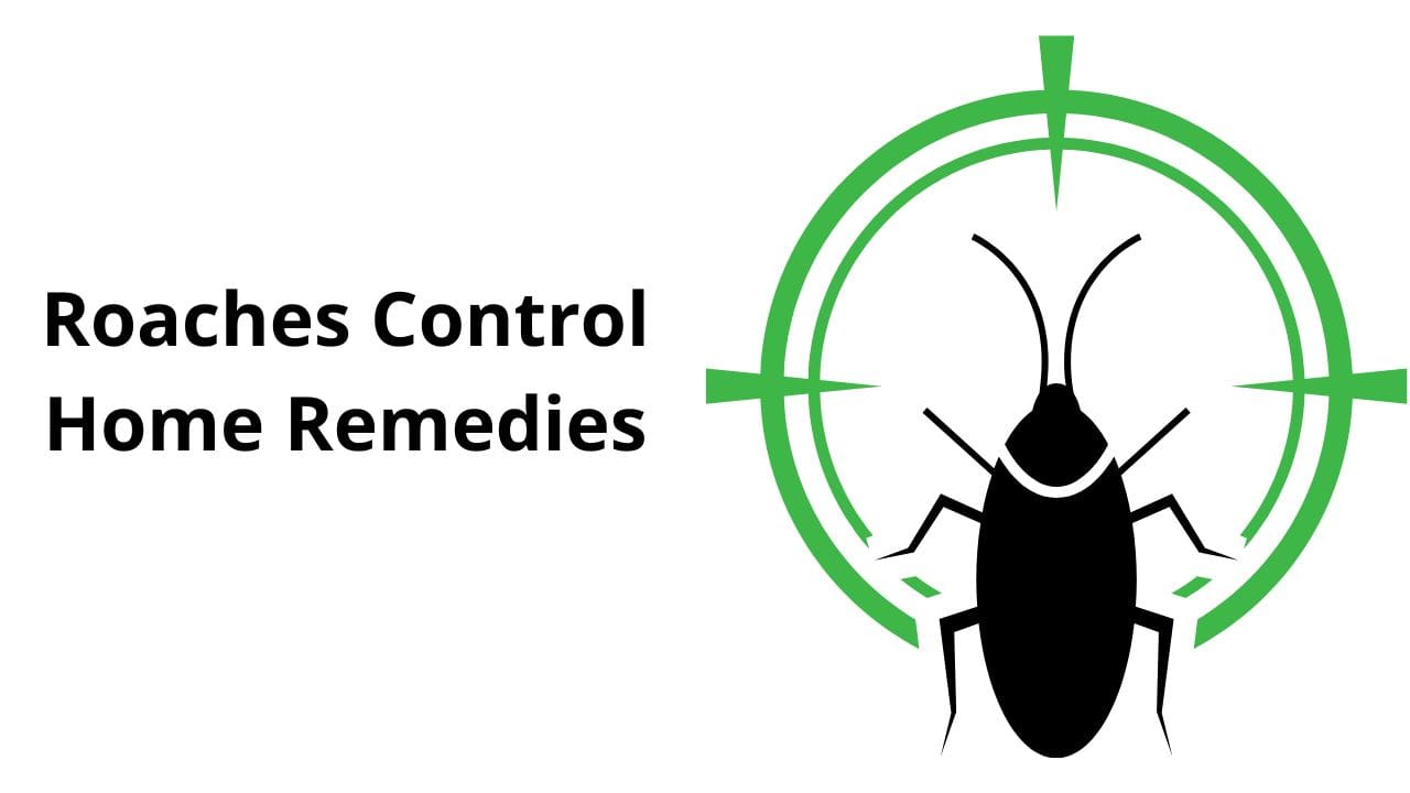 Garden roaches control Home remedies