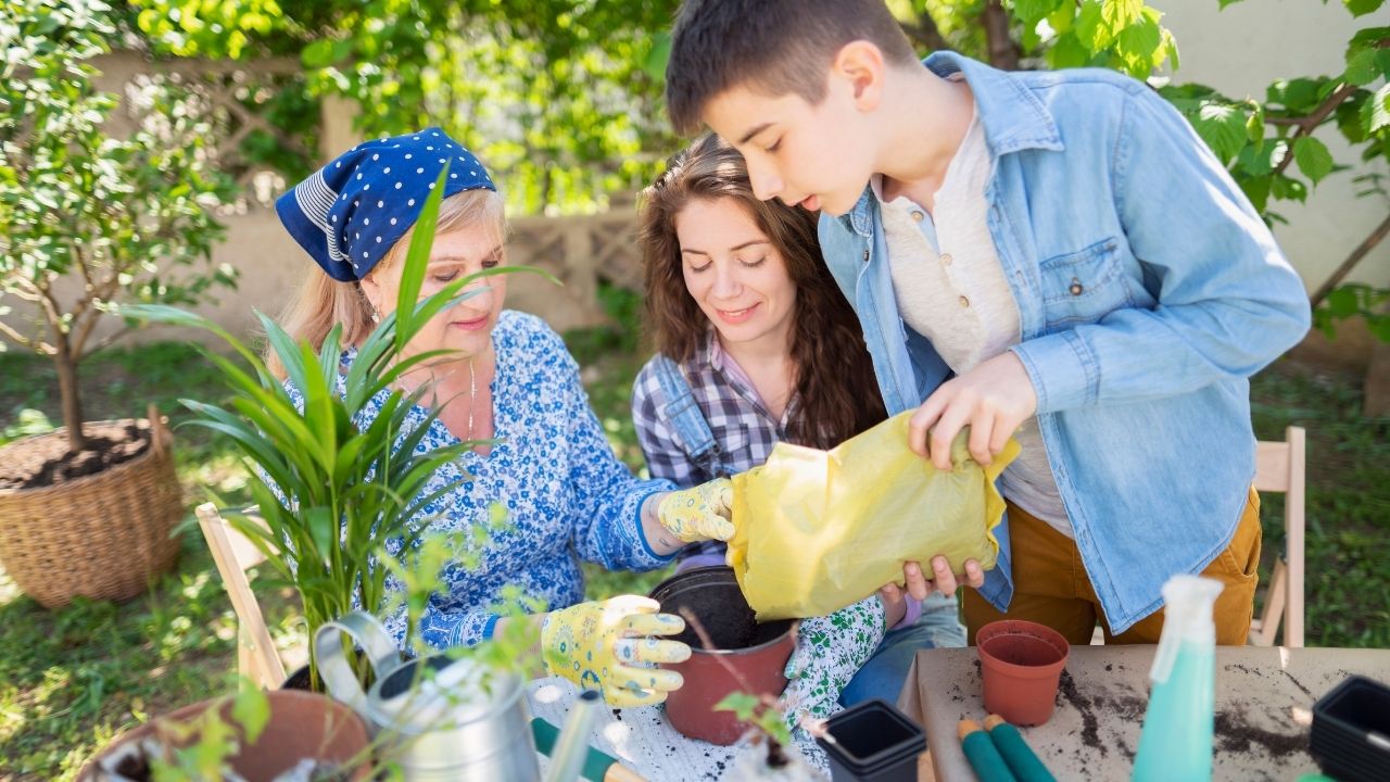 (6 Ingredients) How To Make Homemade Miracle Grow (2024)