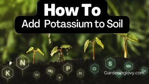 How To Add Potassium To Plants (15 Easy Ways That Works)