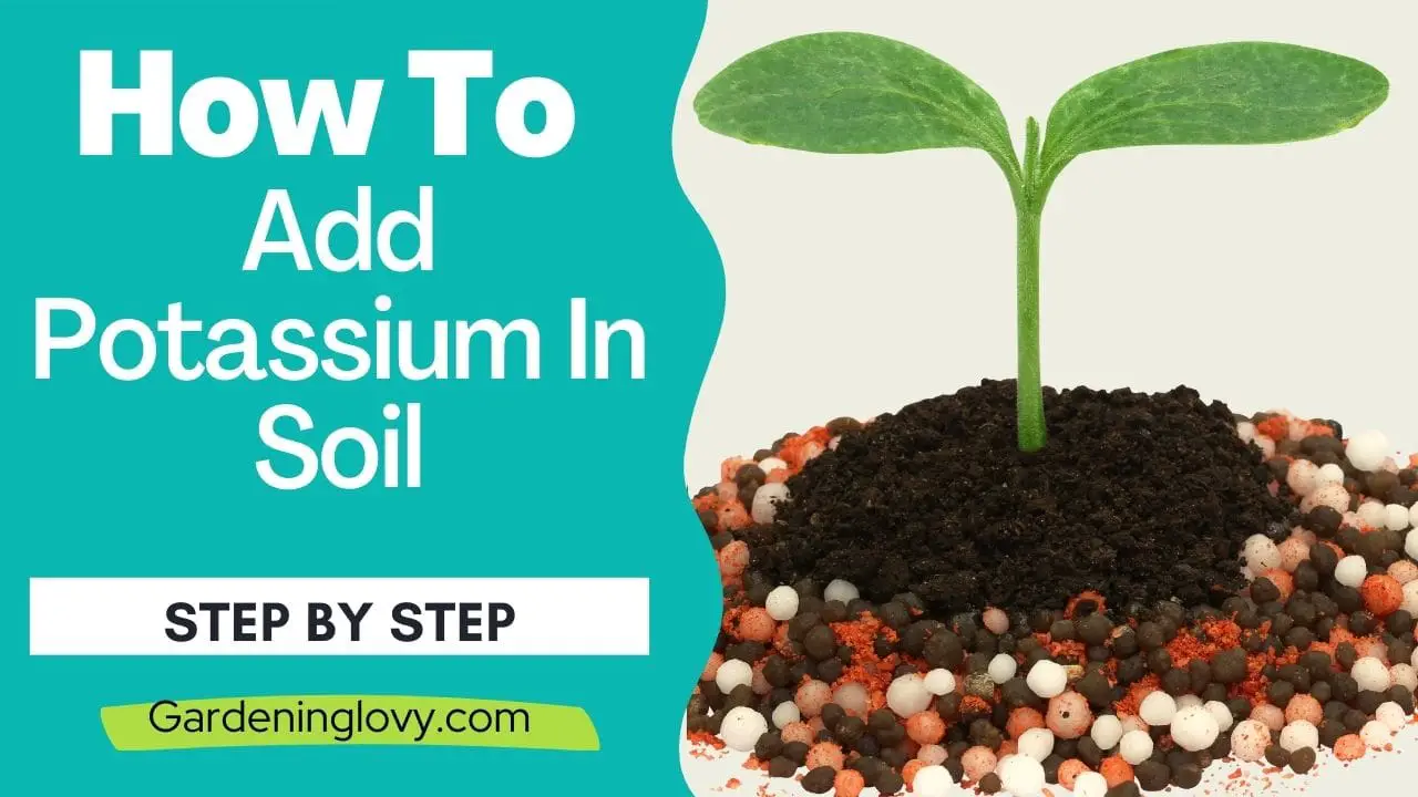 How to Add Potassium in Soil