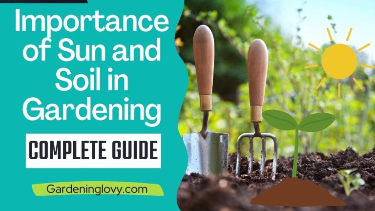 Importance of the sun In Soil Formation