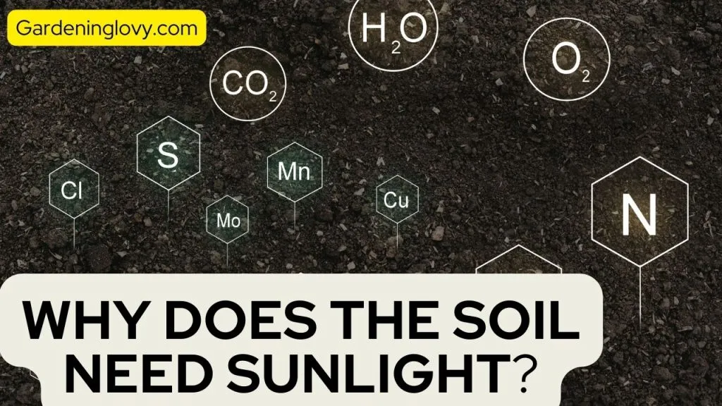 Role of the sun In Soil Formation