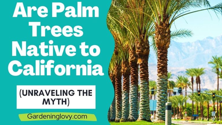 2 min 2 Are Palm Trees Native to California (Unraveling the Myth)