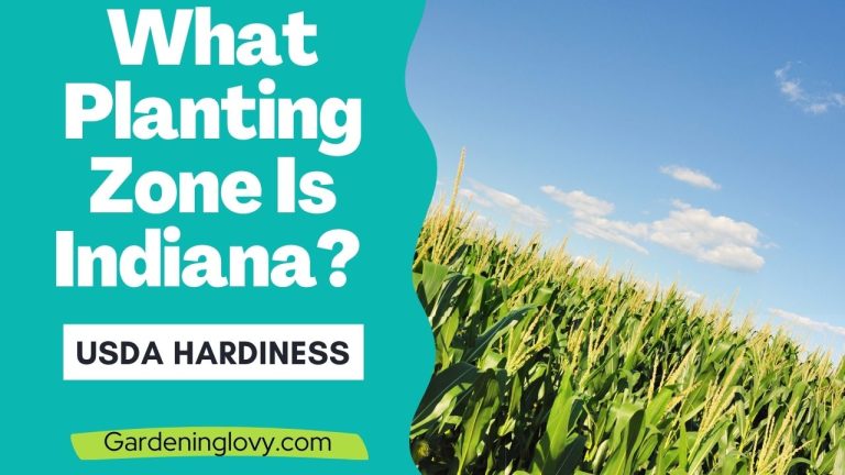 2 min 3 Indiana planting zones