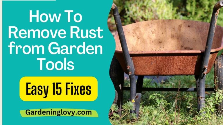 How To Remove Rust from Garden Tools