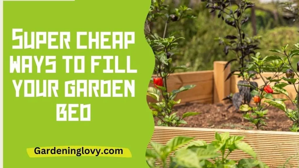 Super cheap ways to fill your raised garden bed
