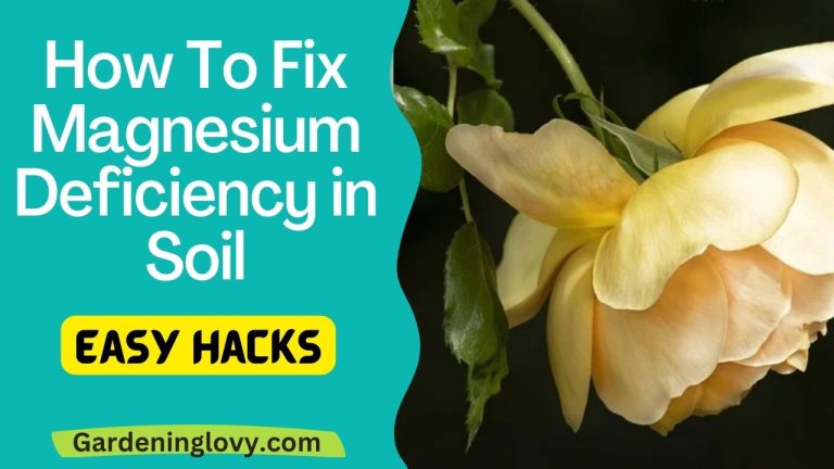 How to fix magnesium deficiency in soil