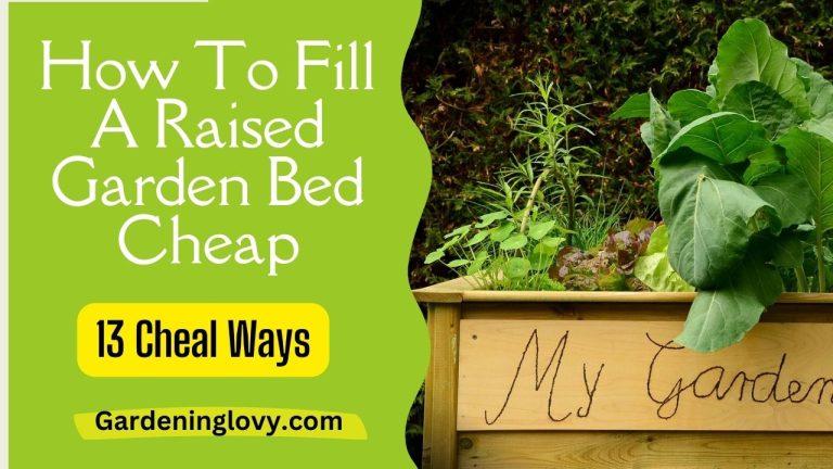 How To Fill A Raised Garden Bed Cheap