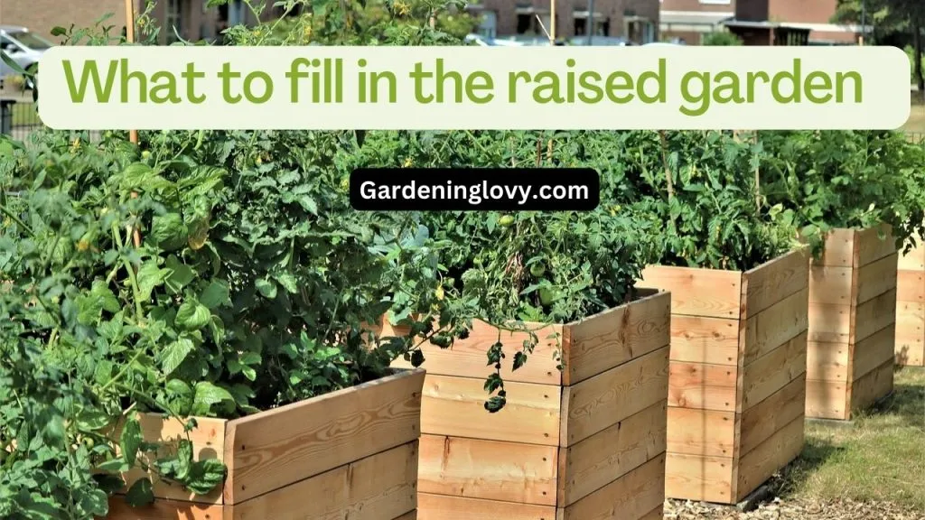 Select The Perfect Area For Raised Garden Bed