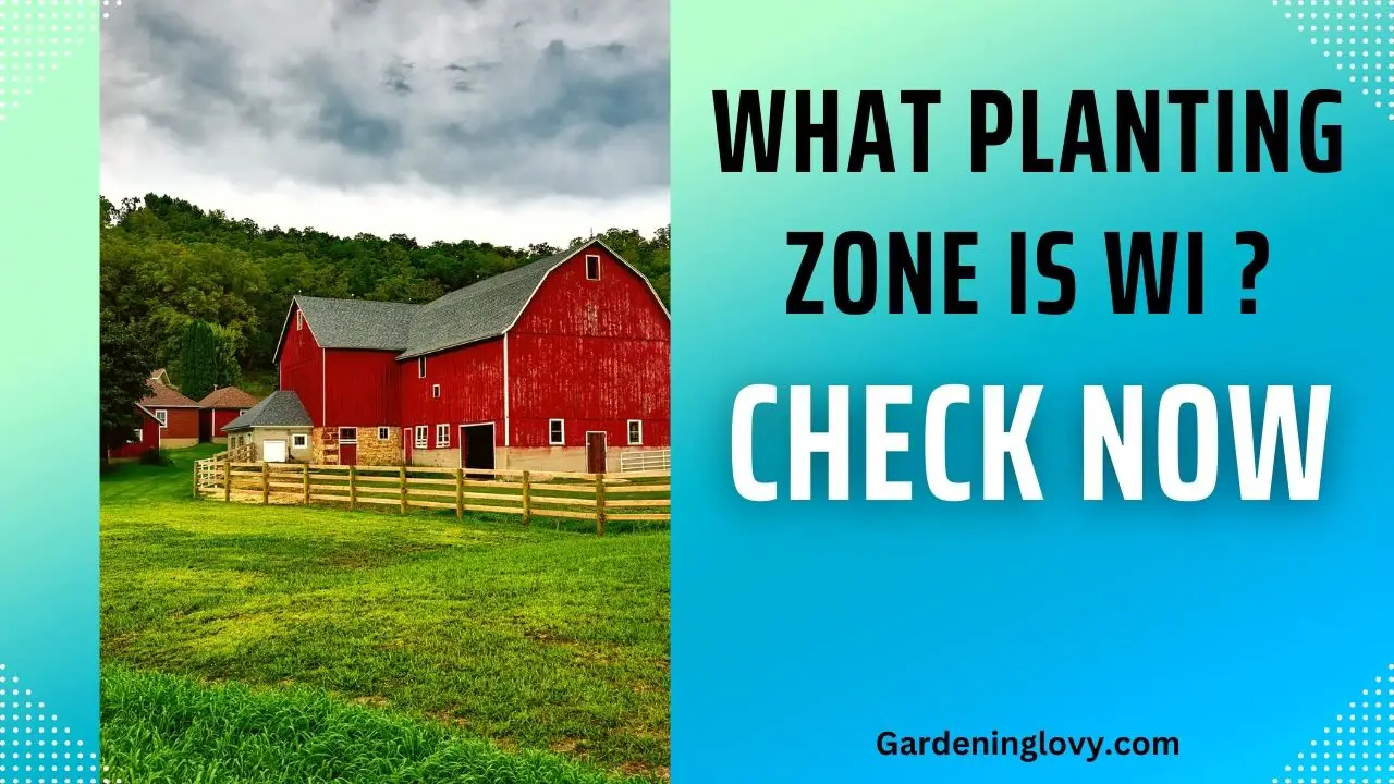 What Planting Zone Is WI