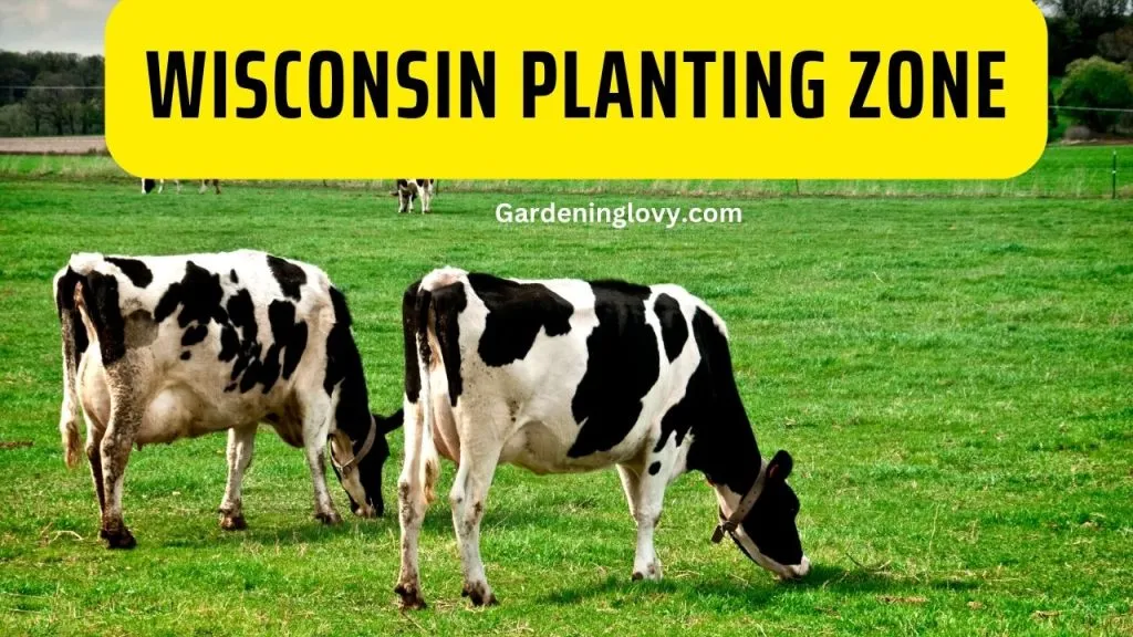 wisconsin planting zone