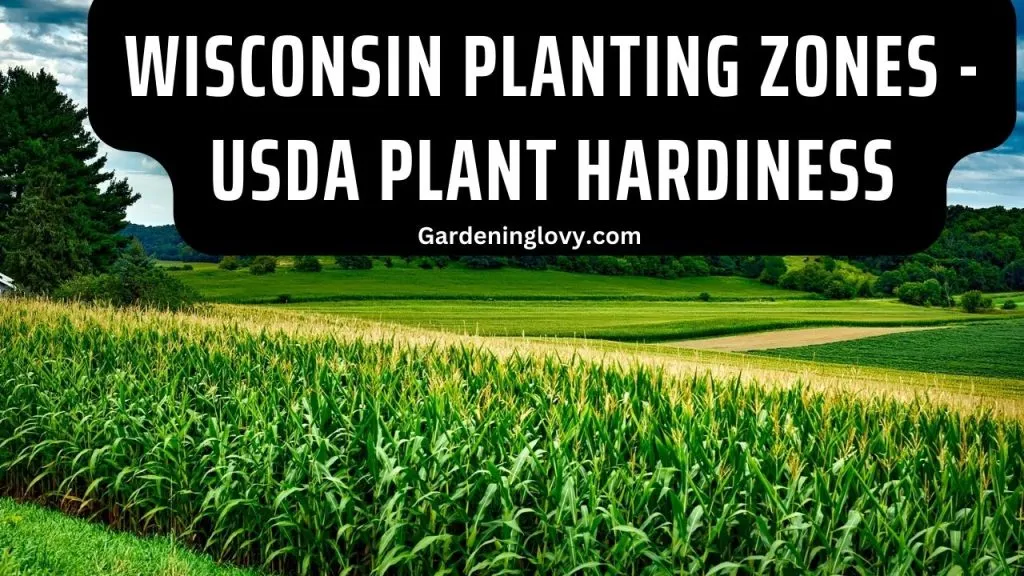 Plants Hardy To Wisconsin's Planting Zone