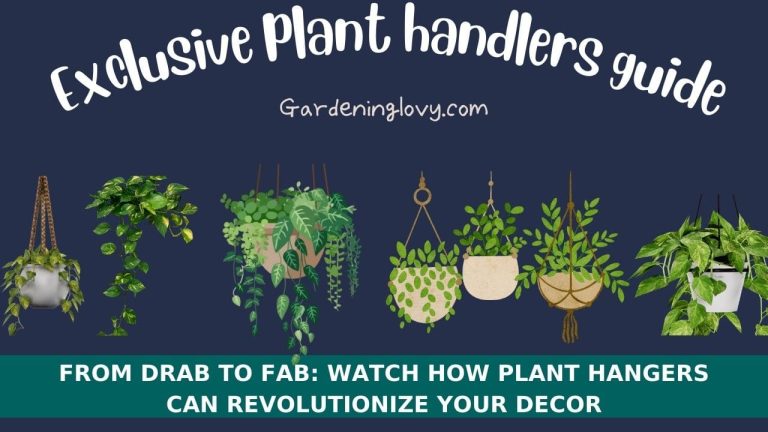 Use Plant Hangers For beautify your space